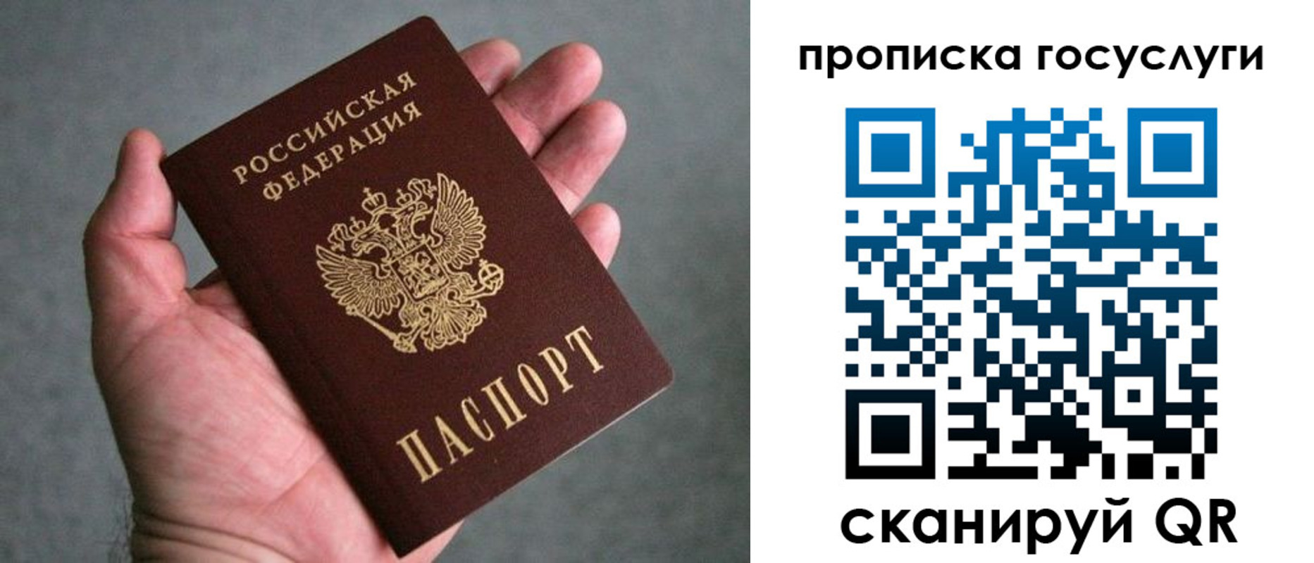прописка 2025 в Ступино